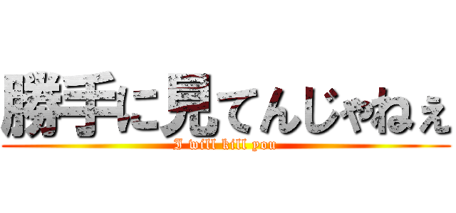 勝手に見てんじゃねぇ (I will kill you)