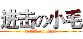 进击の小毛 (attack on titan)