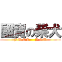 國寶の柴犬 (F U C K     Y O U)