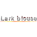 Ｌａｒｋ ｂｌｏｕｓｅ (Lark blouse)