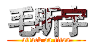 毛昕宇 (attack on titan)