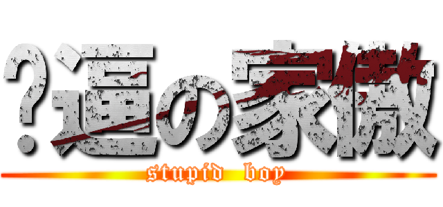 傻逼の家傲 (stupid  boy)