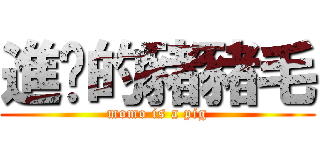 進擊的豬豬毛 (momo is a pig)