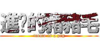 進擊的豬豬毛 (momo is a pig)