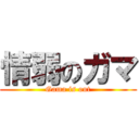 情弱のガマ (Gama is out)