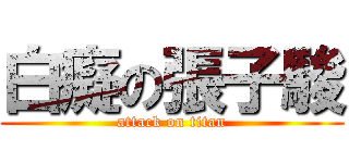 白癡の張子駿 (attack on titan)