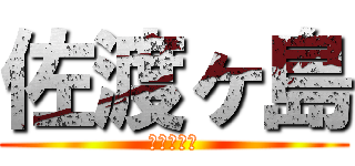 佐渡ヶ島 (佐渡おけさ)