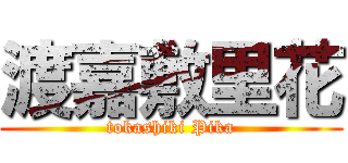 渡嘉敷里花 (tokashiki Pika)