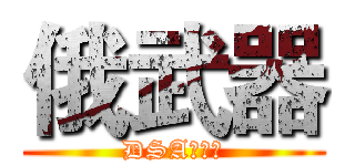 俄武器 (DSA范德萨)