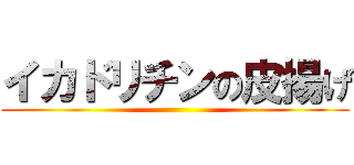 イカドリチンの皮揚げ ()