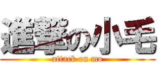 進撃の小毛 (attack on mo)