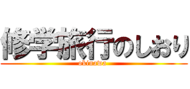 修学旅行のしおり (okinawa )
