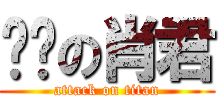 进击の肖君 (attack on titan)