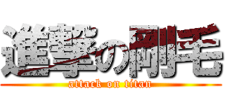 進撃の剛毛 (attack on titan)