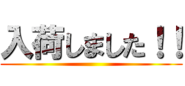 入荷しました！！ ()