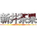 新井茶果 (WTF)