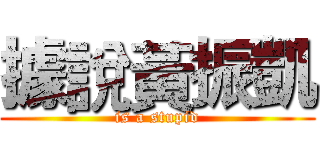 據說黃振凱 (is a stupid)