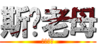 斯你老母 (斯你老母)