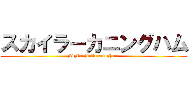 スカイラーカニングハム (Skylar J Cunningham )