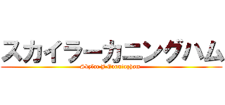 スカイラーカニングハム (Skylar J Cunningham )