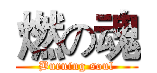 燃の魂 (Burning soul)