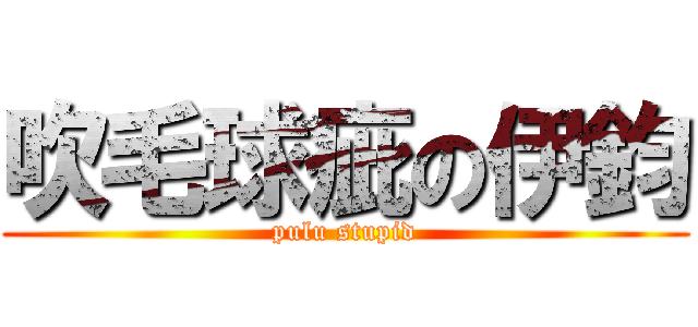 吹毛球疵の伊鈞 (pulu stupid)