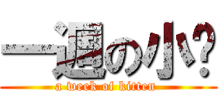 一週の小貓 (a week of kitten )