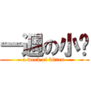 一週の小貓 (a week of kitten )