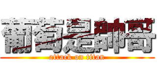 葡萄是帥哥 (attack on titan)