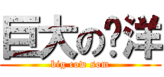 巨大の刘洋 (big cow som)