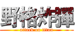 野格炸彈 (attack on titan)