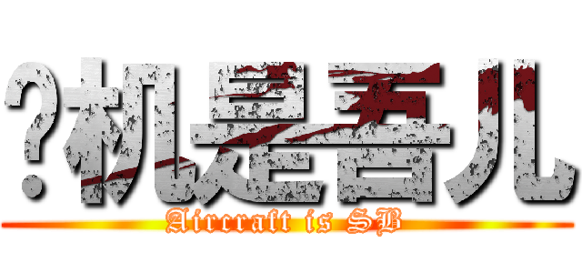 飞机是吾儿 (Aircraft is SB)