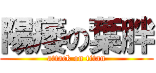 陽痿の葉胖 (attack on titan)