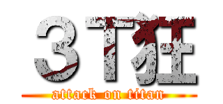 ３Ｔ狂 (attack on titan)