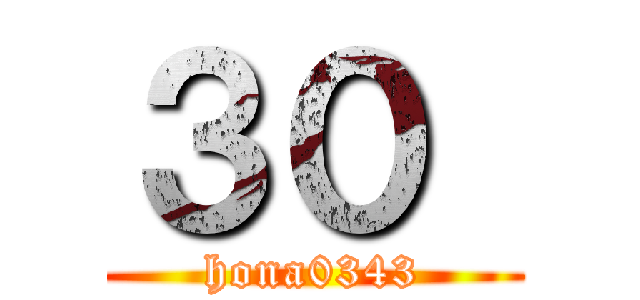 ３０  (hona0343)