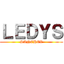 ＬＥＤＹＳ (SANCHEZ)