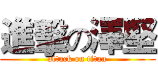 進擊の澤堅 (attack on titan)