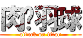 肉腳羽球 (attack on titan)