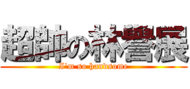 超帥の林譽展 (I\'m so handsome)