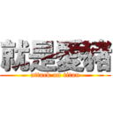 就是愛豬 (attack on titan)