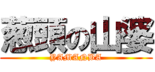 葱頭の山婆 (YAMANBA)