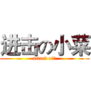 进击の小菜 (attack o小菜)