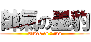 帥氣の墨豹 (attack on titan)