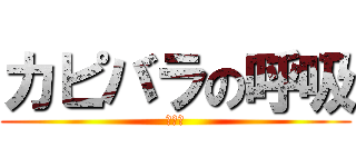 カピバラの呼吸 (突進？)