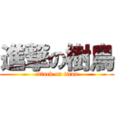 進撃の樹鳥 (attack on titan)