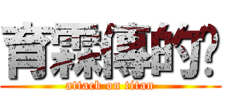育霖傳的說 (attack on titan)
