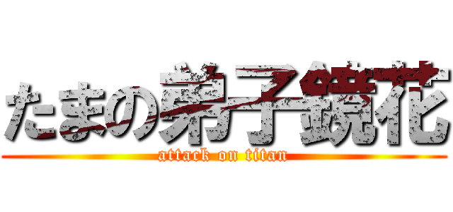 たまの弟子鏡花 (attack on titan)