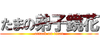 たまの弟子鏡花 (attack on titan)