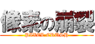 像素の崩裂 (PIXEL CRUSH)