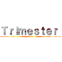 Ｔｒｉｍｅｓｔｅｒ  (Asie)